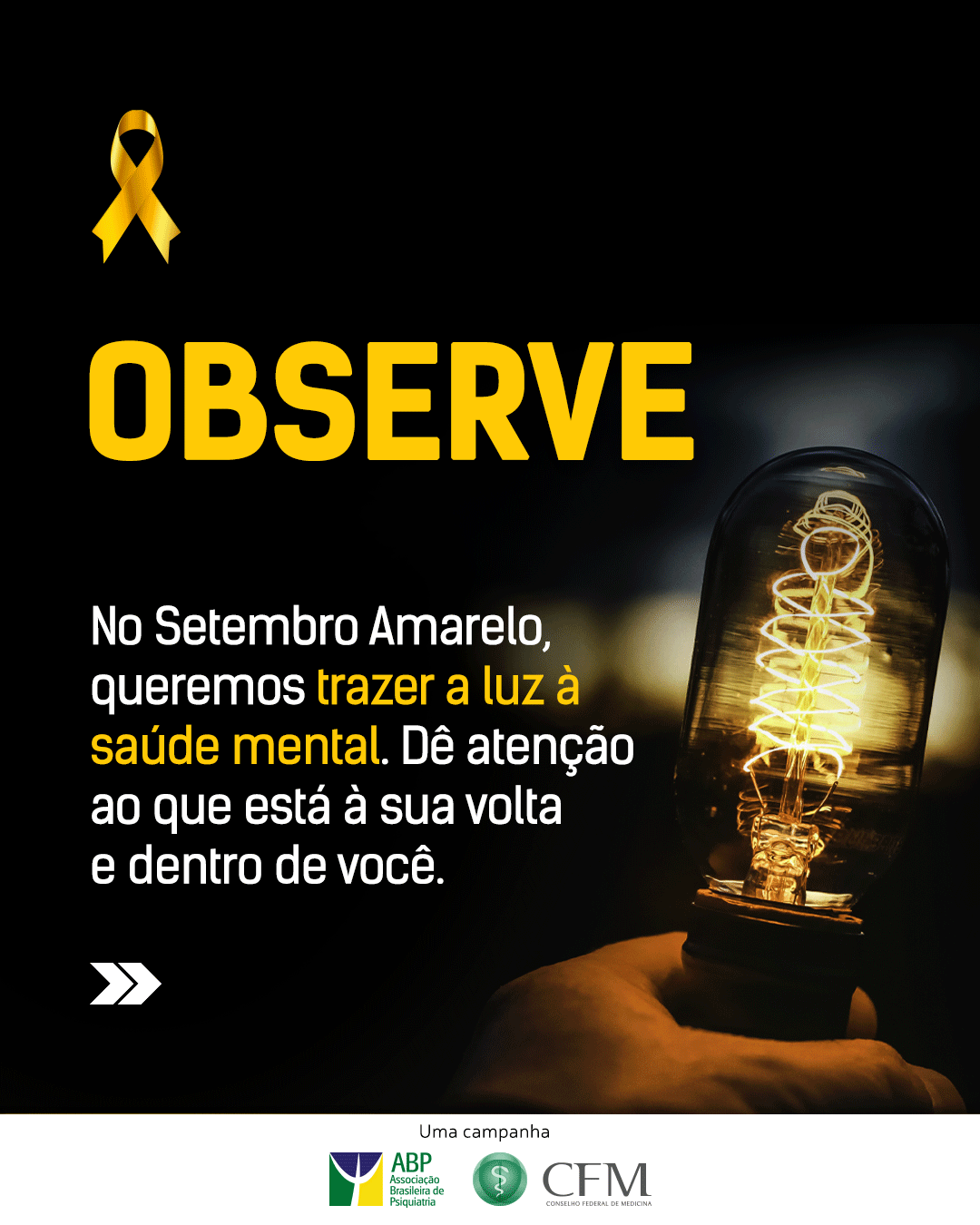 Nossas novidades